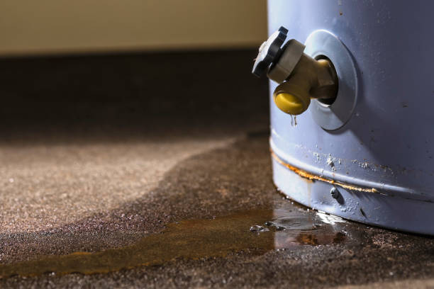 Best Water damage restoration insurance claims  in Brices Creek, NC