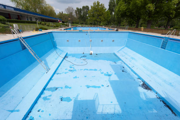 Best Basement water damage restoration  in Brices Creek, NC