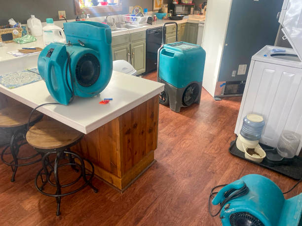  Brices Creek, NC Water damage restoration Pros