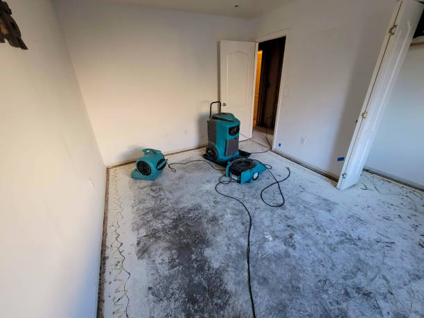 Best Water damage restoration services  in Brices Creek, NC