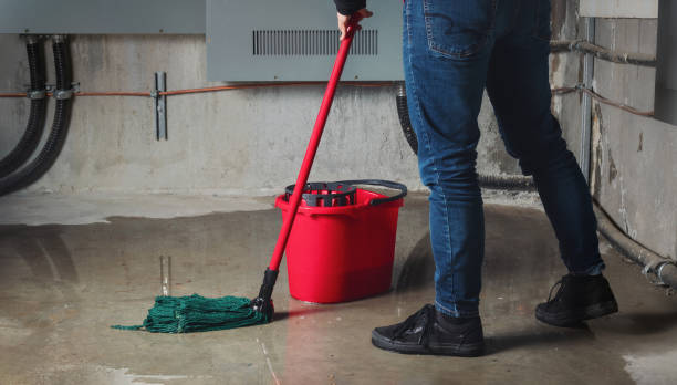 Best Carpet water damage restoration  in Brices Creek, NC