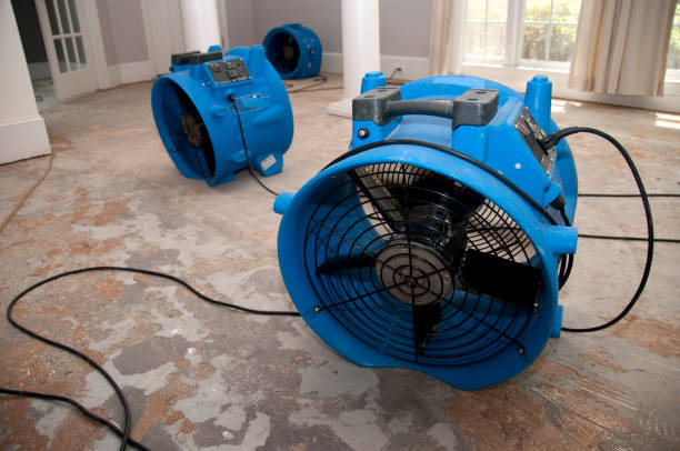 Best Sewage cleanup and water damage restoration  in Brices Creek, NC