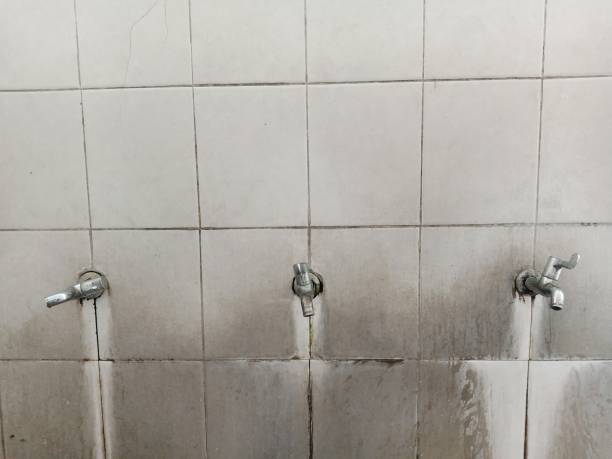 Best Water damage restoration near me  in Brices Creek, NC