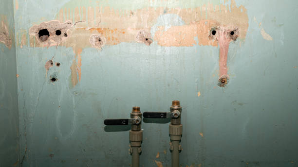 Brices Creek, NC Water damage restoration Company