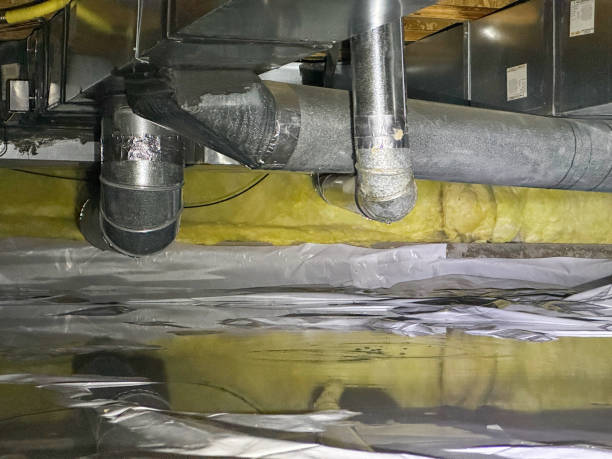 Best Local water damage restoration  in Brices Creek, NC