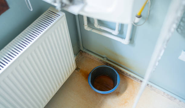 Best Sewage cleanup and water damage restoration  in Brices Creek, NC