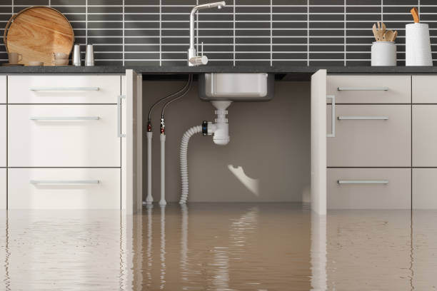 Best Water damage restoration company  in Brices Creek, NC