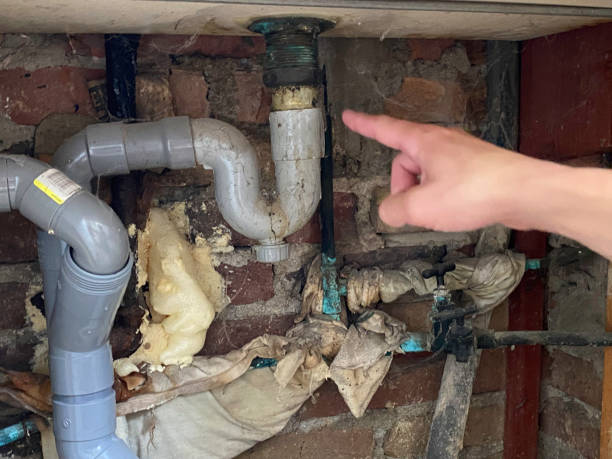 Best Ceiling water damage repair  in Brices Creek, NC