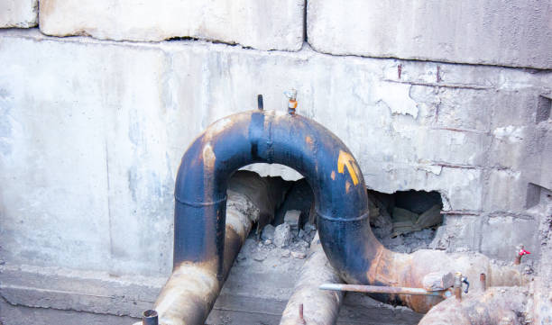 Best Mold removal after water damage  in Brices Creek, NC