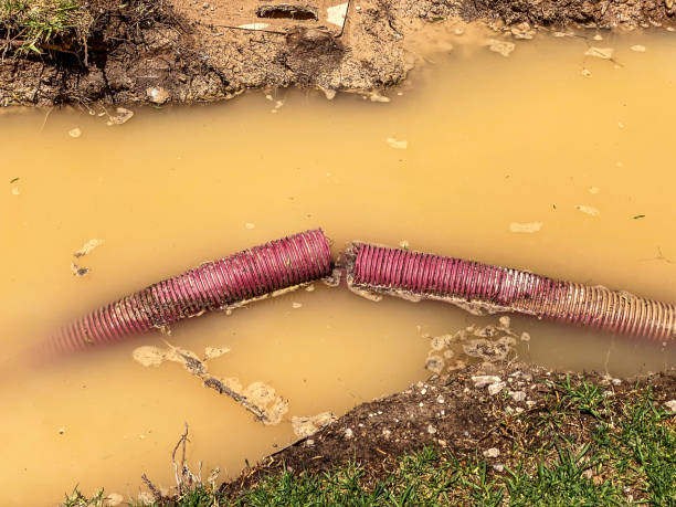 Reliable Brices Creek, NC Water damage restoration Solutions