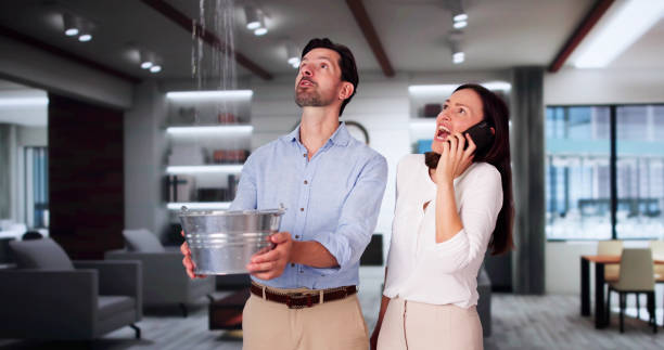 Best Ceiling water damage repair  in Brices Creek, NC