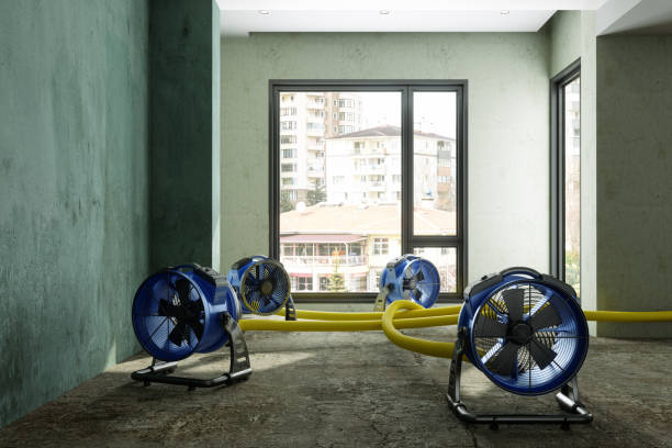 Best Emergency water damage restoration  in Brices Creek, NC