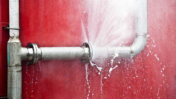 Best Commercial water damage restoration  in Brices Creek, NC