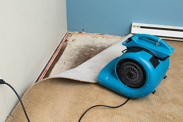 Best Ceiling water damage repair  in Brices Creek, NC
